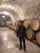 Wine Barrels